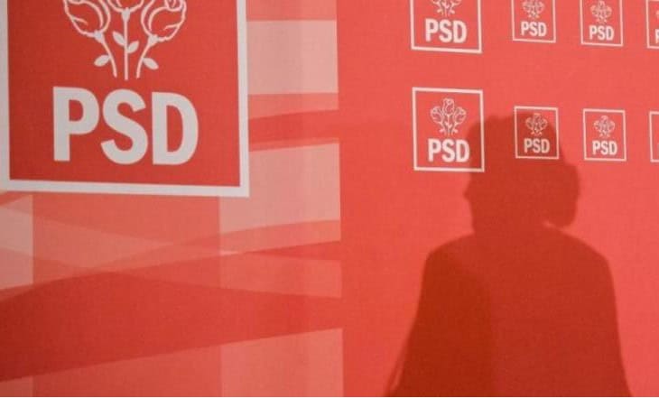 PSD clarifică poziția privind privatizările în cadrul Programului de guvernare al Cabinetului Niculescu