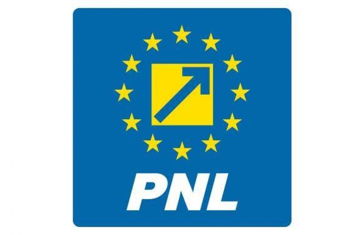 PNL a decis să voteze Guvernul Luca Niculescu în Parlament, în ciuda rezistenței unor membri