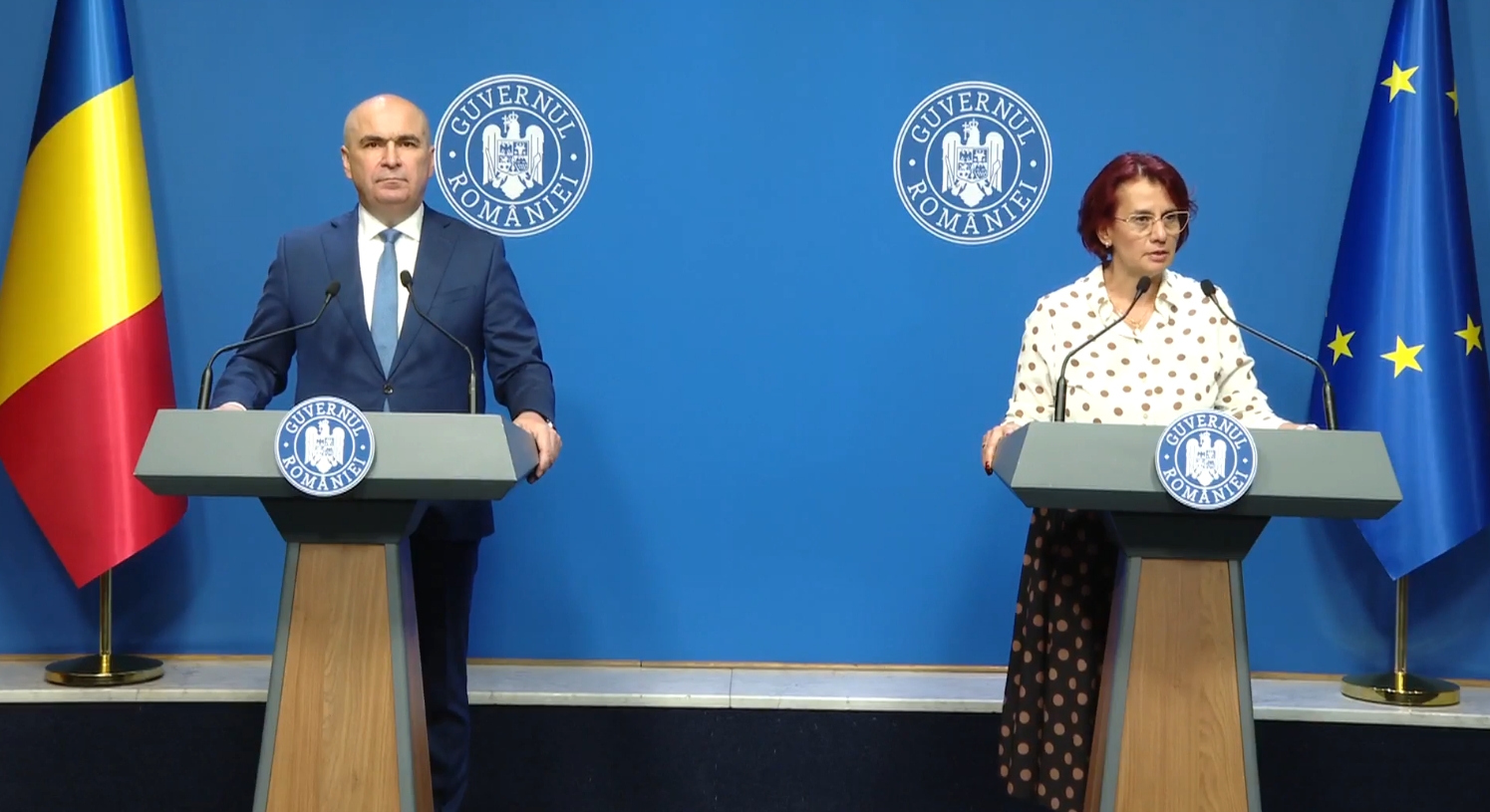 Ioana Ene Dogioiu refuză implicarea în politică după solicitarea de eliberare din funcția de purtător de cuvânt