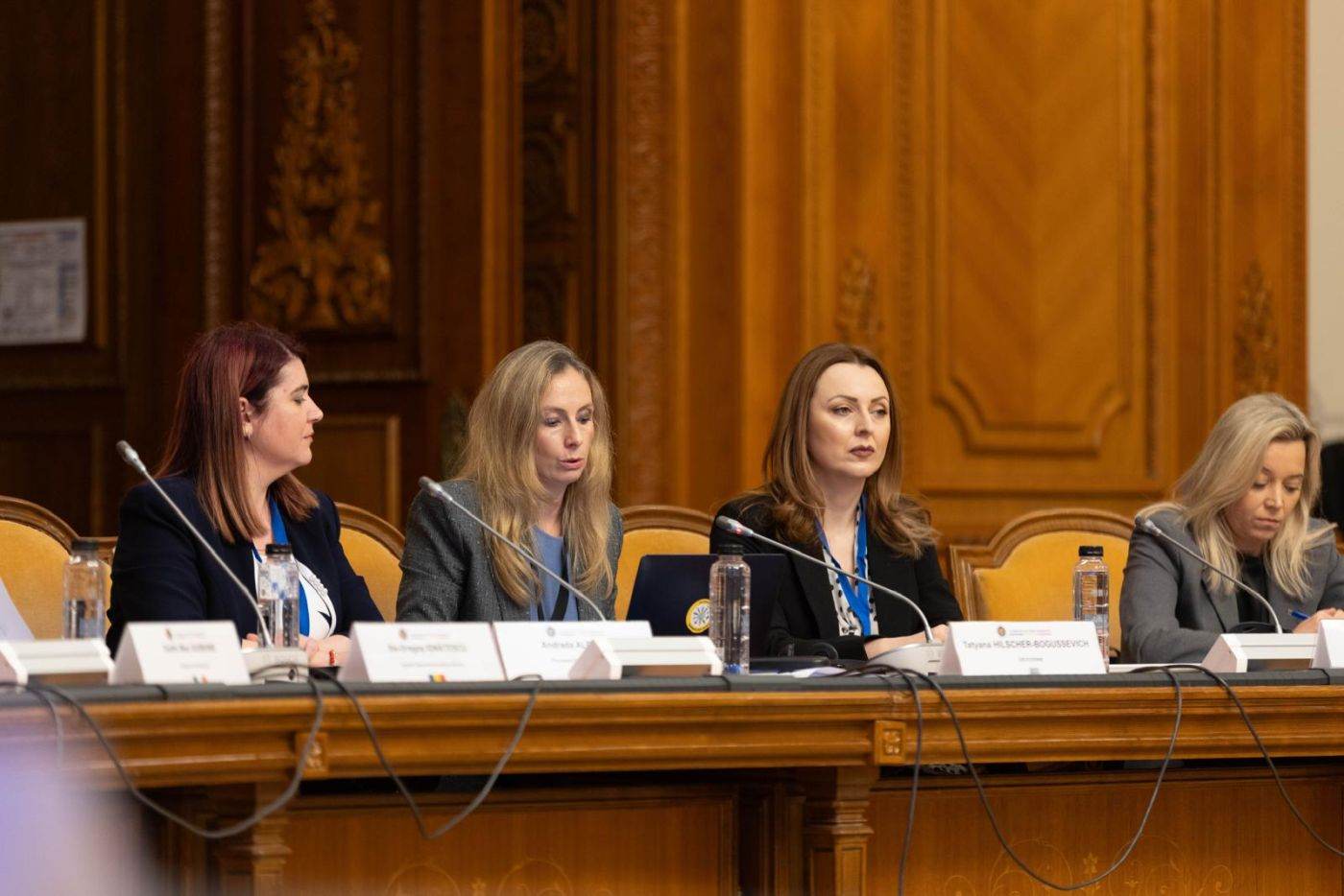Propunere de transparență pentru banii publici folosiți de partide pentru publicitate și influenceri