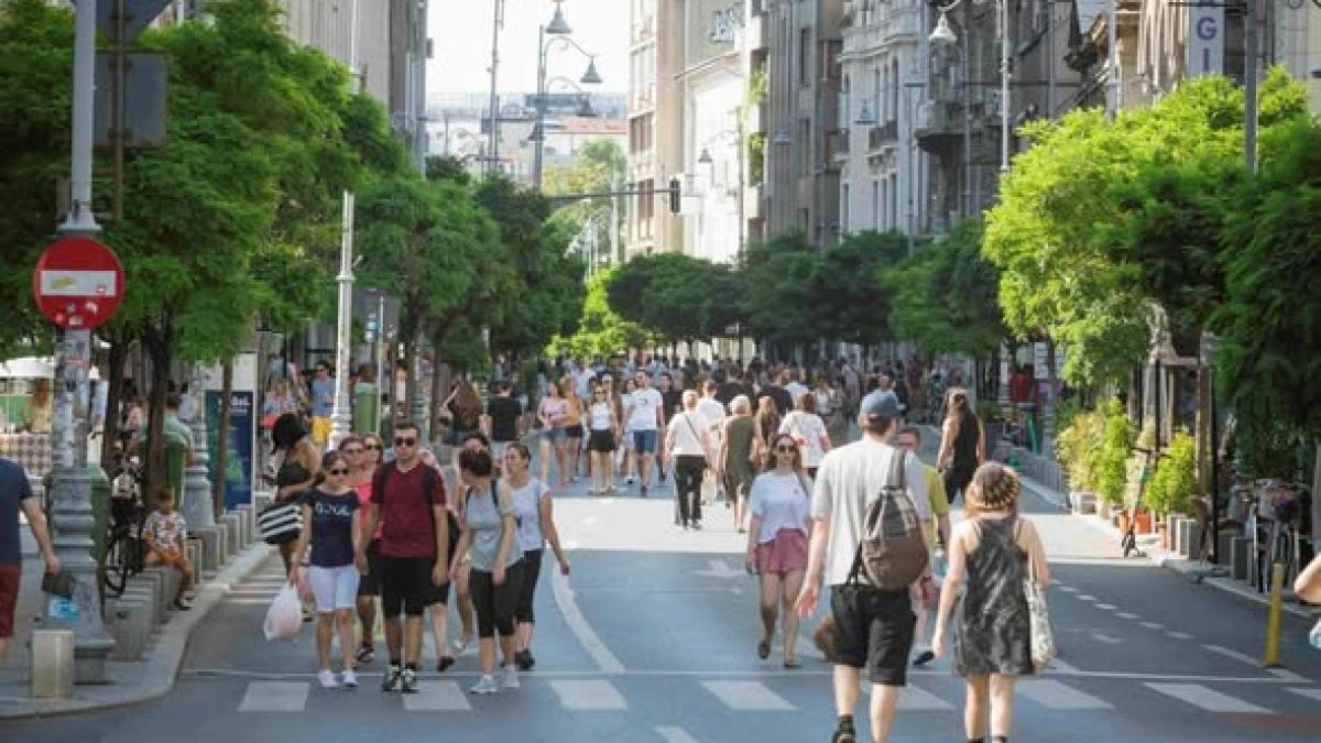 Sondaj Avangarde: Românii consideră că țara merge într-o direcție greșită, PNL pierde teren, PSD crește