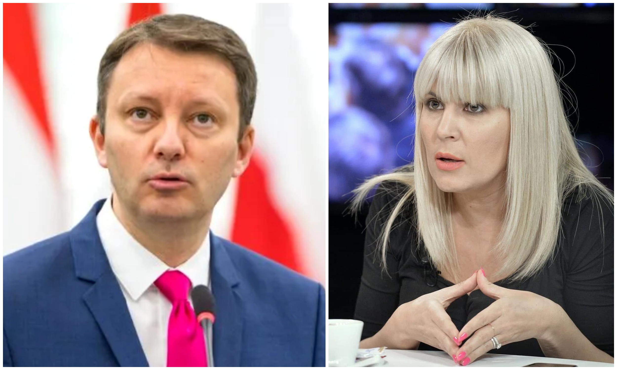 Elena Udrea o acuză pe Siegfried Mureșan de lipsă de integritate privind finanțarea campaniei din 2014