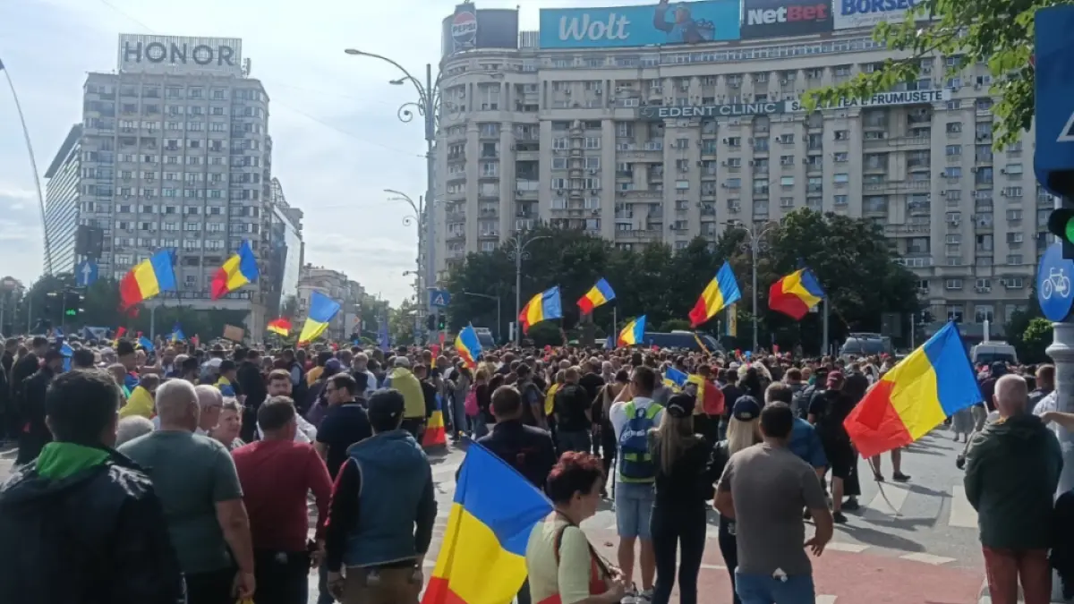 Protest violent în Piața Victoriei: Crescători de ovine protestează împotriva restricțiilor europene
