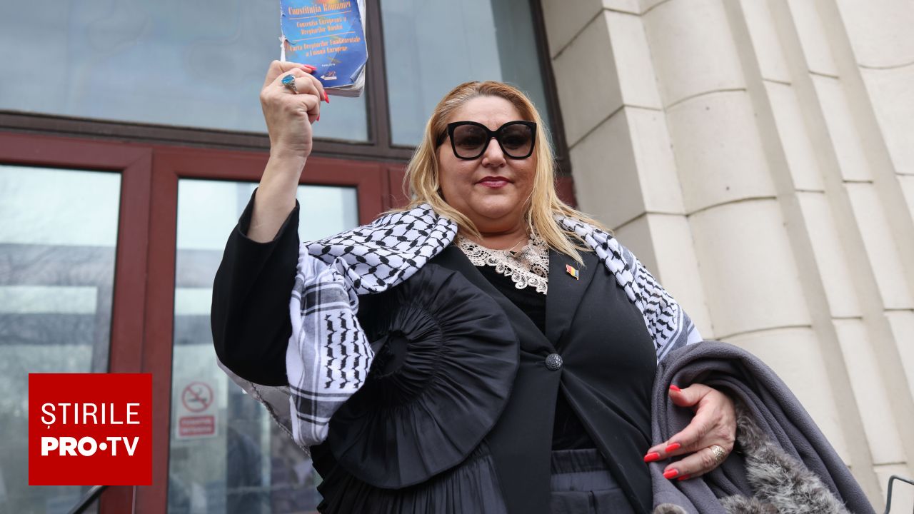 S.O.S. România refuză Guvernul Niculescu și cere alegeri anticipate