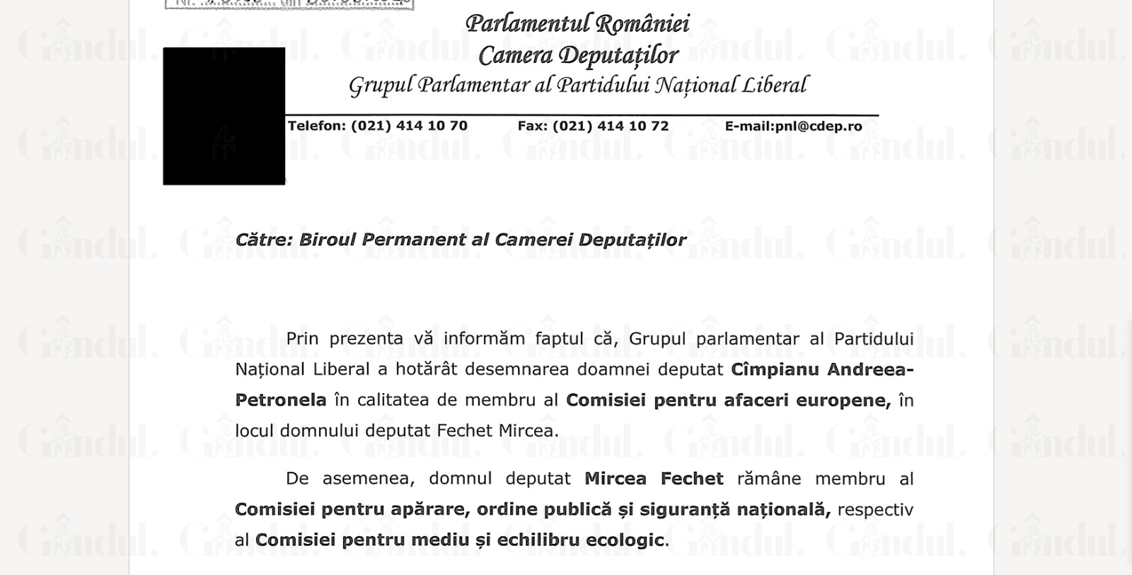 Schimbări în comisii: Andreea Cîmpianu preia locul lui Mircea Fechet în cadrul PNL